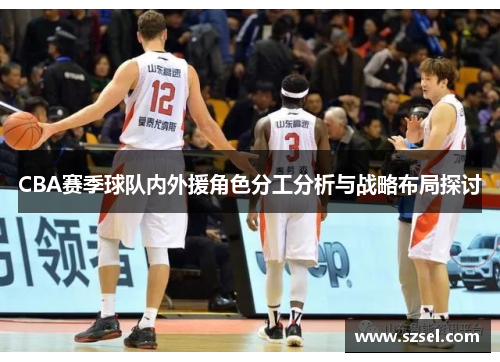 CBA赛季球队内外援角色分工分析与战略布局探讨