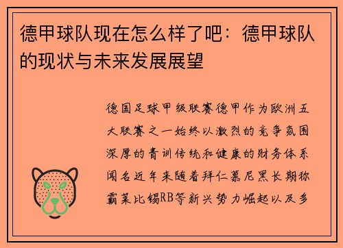 德甲球队现在怎么样了吧：德甲球队的现状与未来发展展望